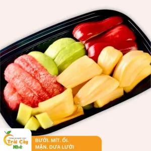 hộp bưởi - mít - ổi - mận - dưa lưới.