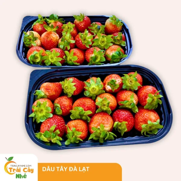 Dâu Tây Đà Lạt