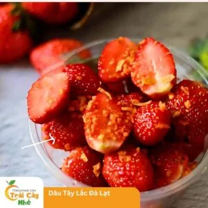 Dâu Đà Lạt Lắc