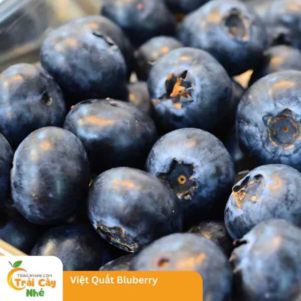 Việt Quất Blueberry